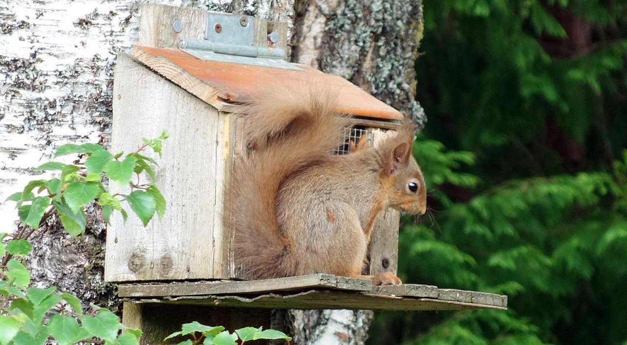 Bunroy Park Villa Fort William Eksteriør billede